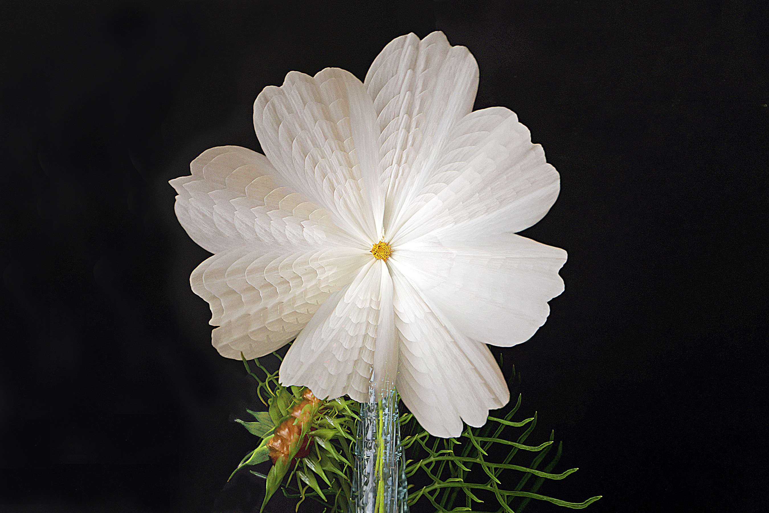 Cosmos - in-camera multiple exposure made by consolidating 9 images
