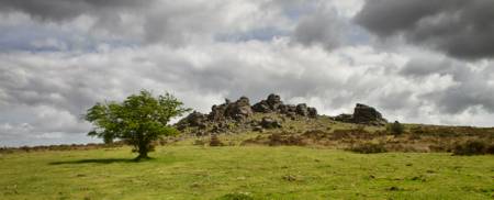 Hound Tor, Dartmoor National Park