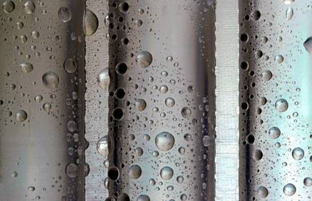 Raindrops on polythene